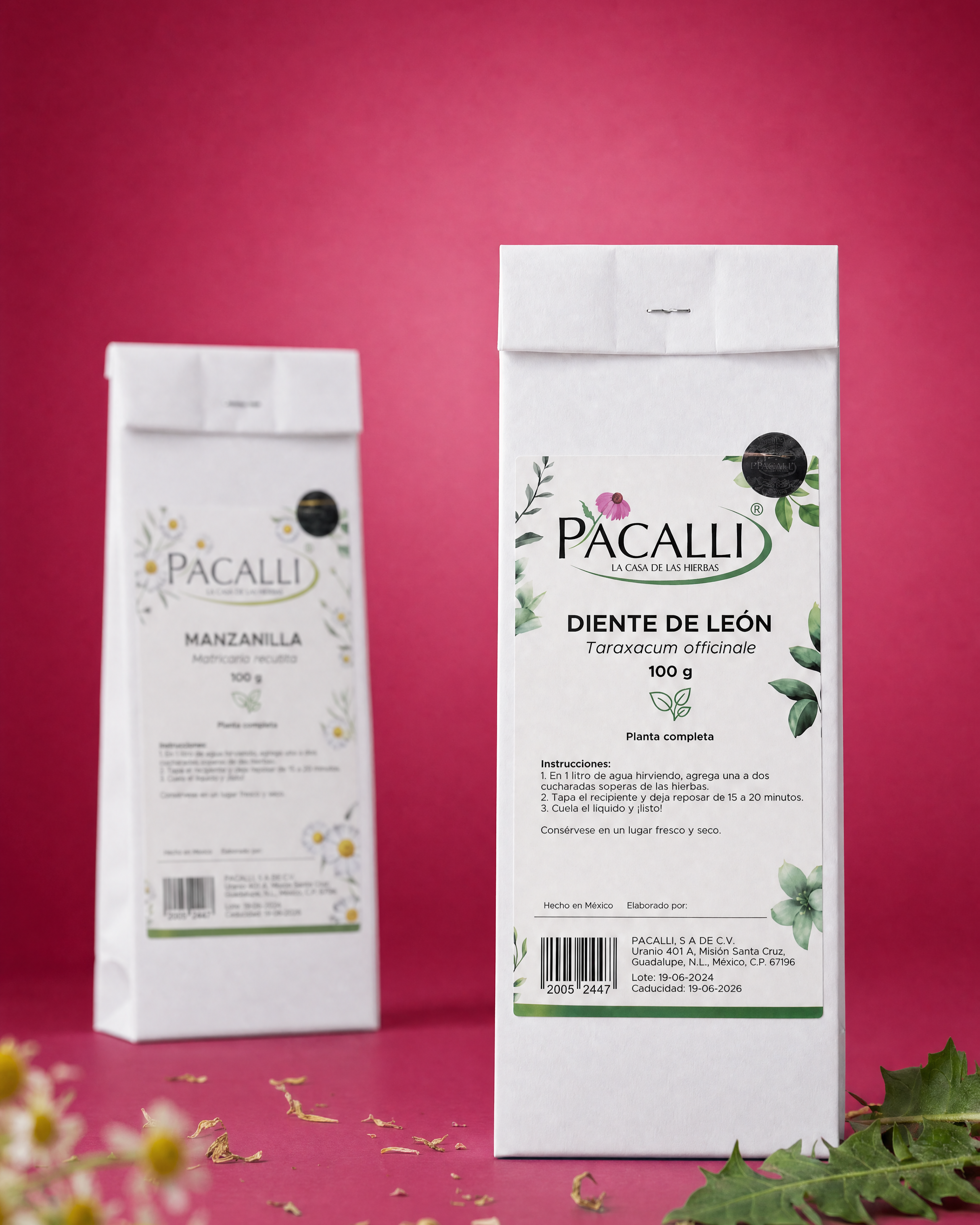 Planta Sola