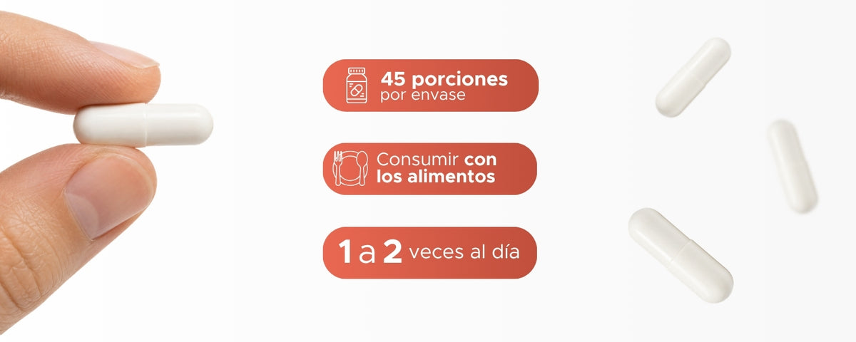 Gluconato de Magnesio | 615 mg por cápsula · 90 caps