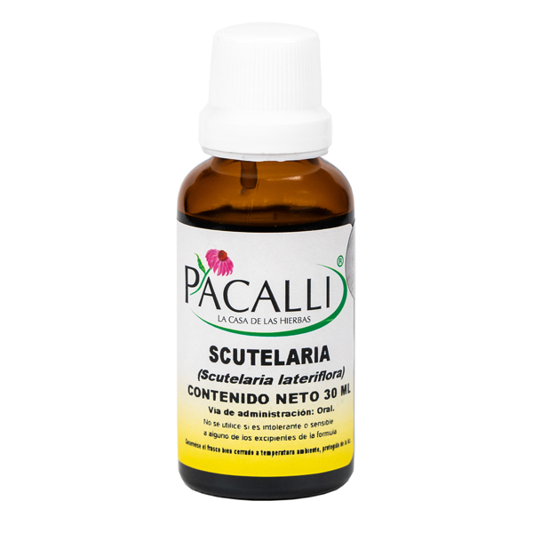 Scutelaria / 30 ml