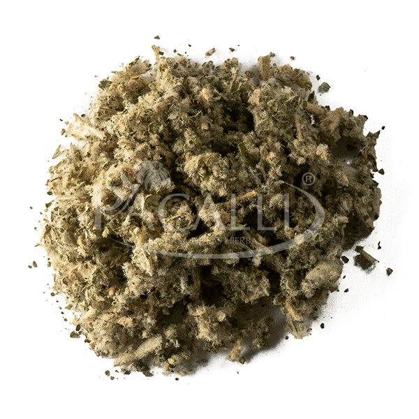 Salvia de Monterrey / 100 g.